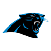 Panther logo_homepage